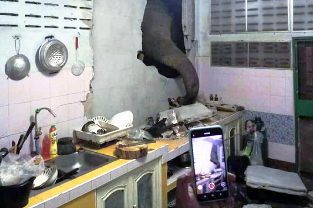 Un éléphant casse le mur d'une maison en Thaïlande pour voler la nourriture
