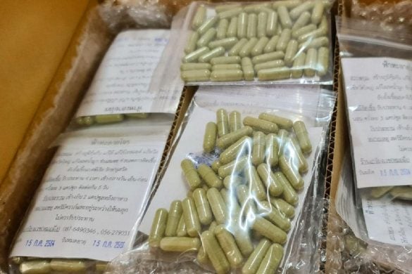 Les plantes médicinales contre la Covid-19 ont du succès en Thaïlande