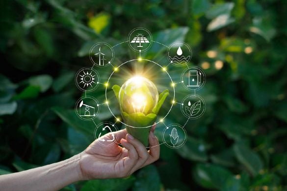 Réimaginer la Thaïlande avec une économie bio circulaire verte