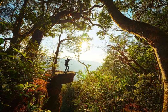 12 parcs nationaux à couper le souffle à découvrir en Thaïlande