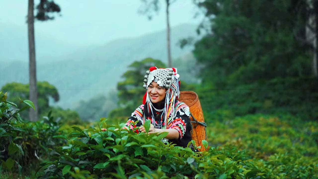 Visitez la Thaïlande en 2022