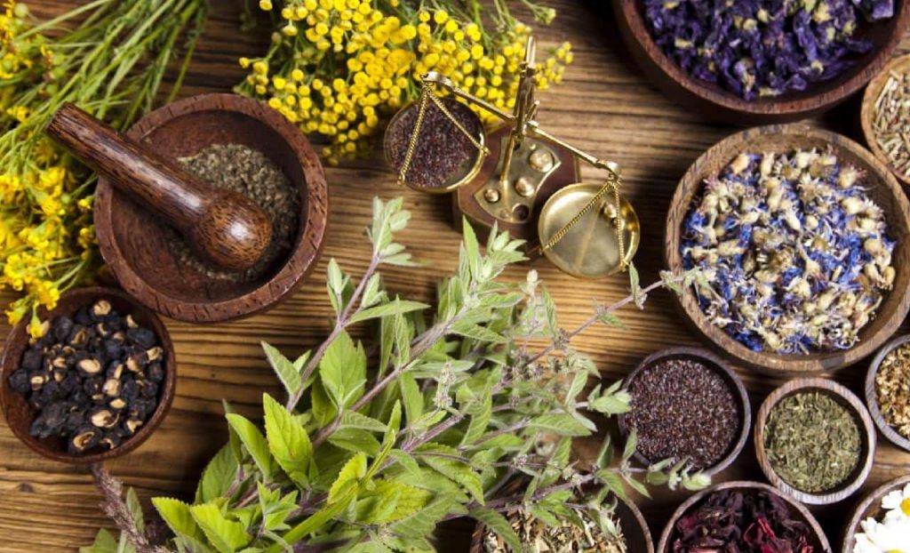 La phytothérapie en Thaïlande, une alternative santé intéressante