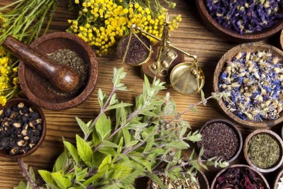 La phytothérapie en Thaïlande, une alternative santé intéressante