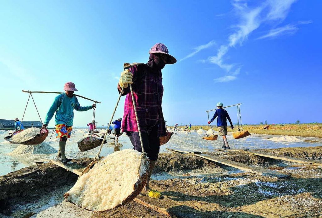 La Thaïlande envisage une taxe sur le sel car les maladies rénales explosent