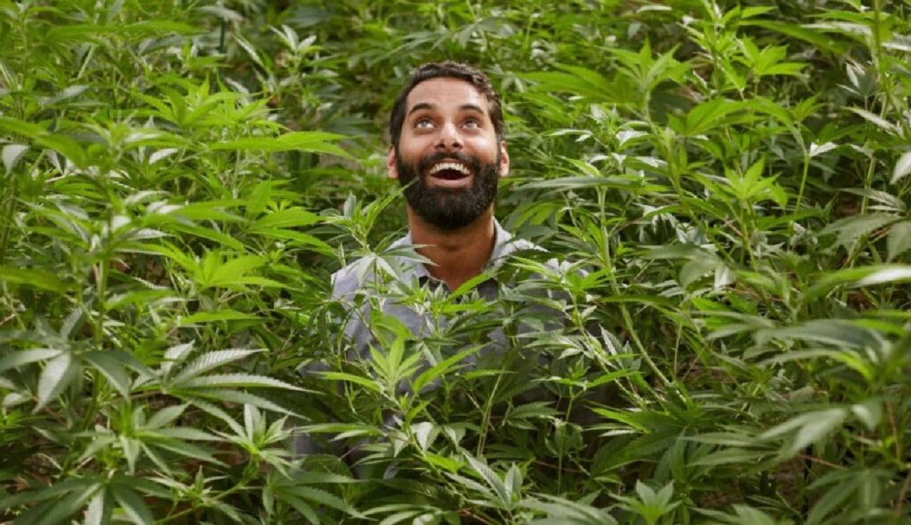 Les touristes fumeurs d'herbe ne sont pas les bienvenus en Thaïlande