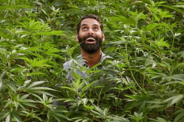 Les touristes fumeurs d&rsquo;herbe ne sont pas les bienvenus en Thaïlande