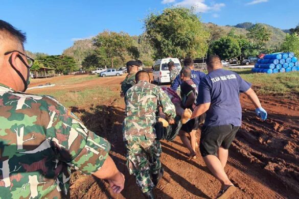 Un homme blessé et deux chiens tués dans une attaque de tigre en Thaïlande