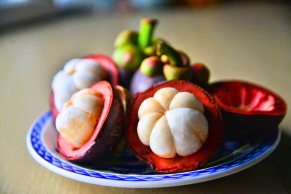 Le Mangoustanier et son fruit le mangoustan