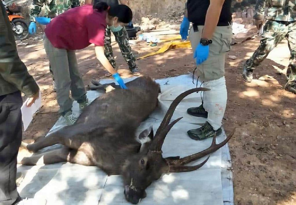 Les parcs nationaux de Thaïlande interdisent les plastiques à usage unique