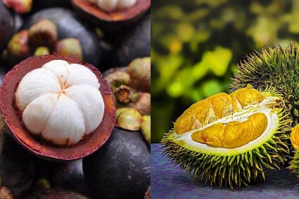 L&rsquo;association du mangoustan et du durian serait bénéfique pour la santé