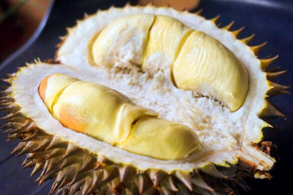 Le durian sans odeur fait ses débuts en Thaïlande