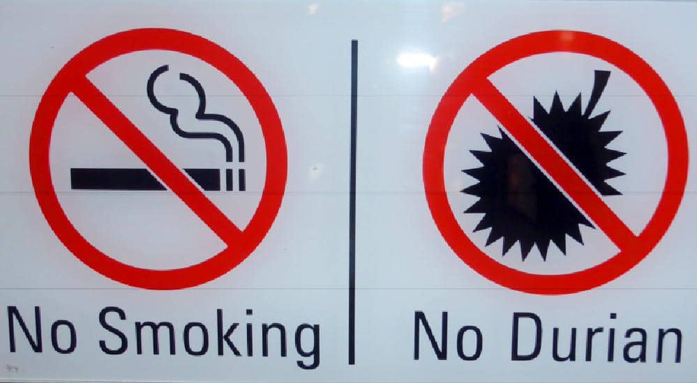 Le durian sans odeur fait ses débuts en Thaïlande