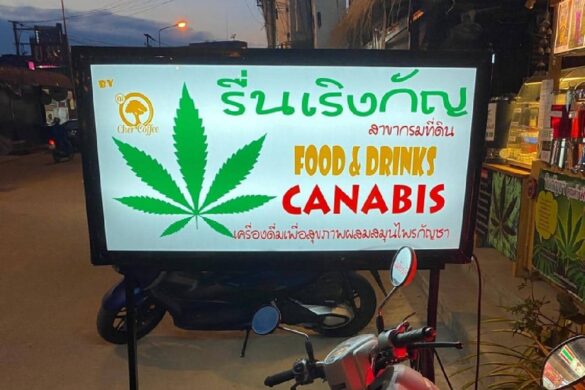 Les défenseurs de la marijuana se mobilisent en Thaïlande pour que la drogue reste dépénalisée