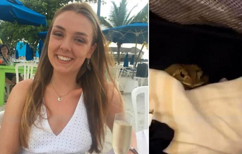 Une femme hurle de peur en ouvrant sa valise après des vacances en Thaïlande