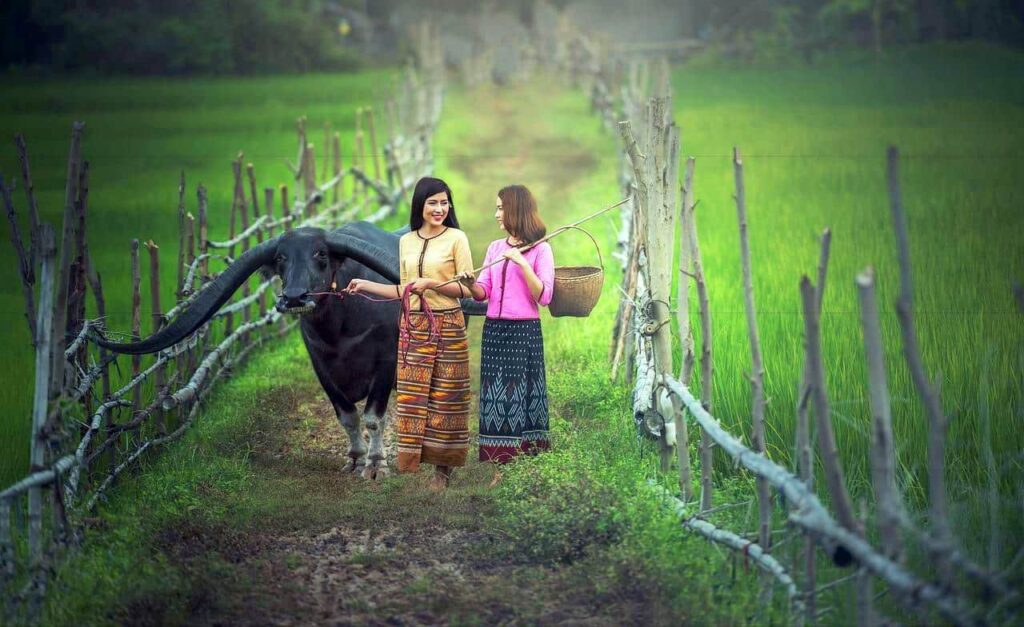 Comment le tourisme a profité aux communautés rurales en Thaïlande