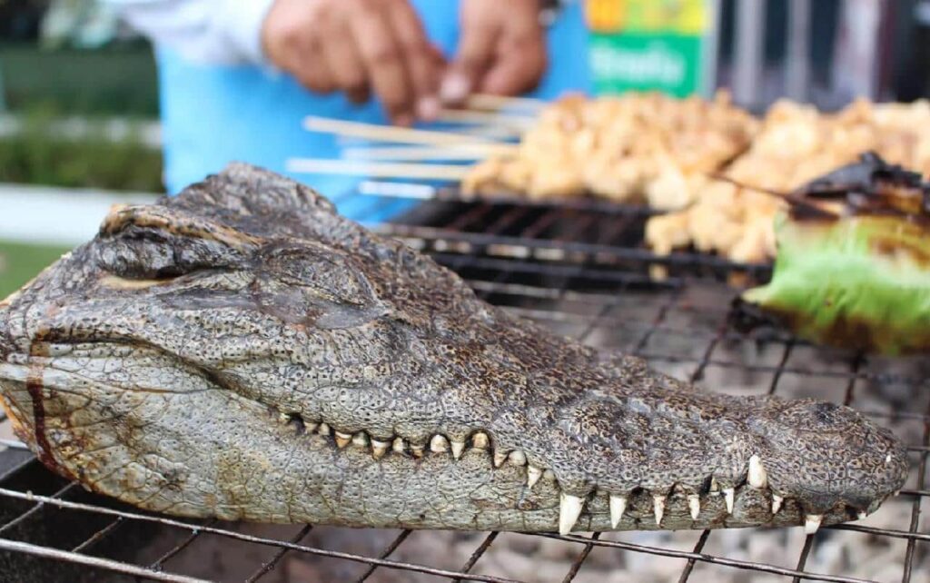 Manger ou être mangé par un crocodile échappé des fermes en Thaïlande à cause des inondations