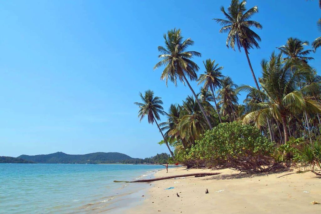 Voici pourquoi vous devriez visiter la Thaïlande en 2023