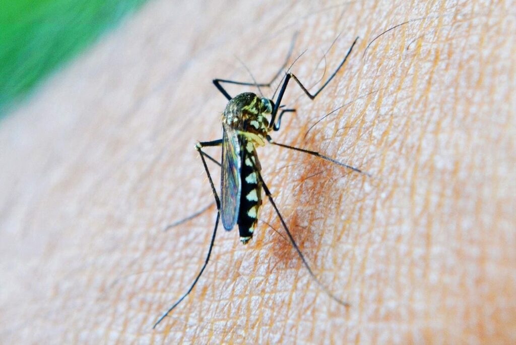 10 conseils pour les voyageurs qui se rendent pour la 1re fois en Thaïlande