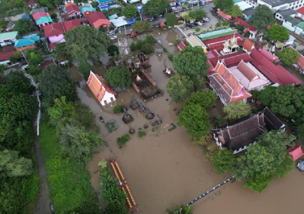 Des singes pillent des maisons dans le centre de la Thaïlande à cause des inondations 5 Wat Cherng Tha, Ayutthaya