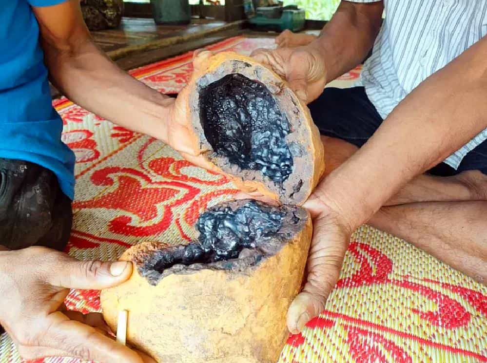 La pierre magique de Krabi