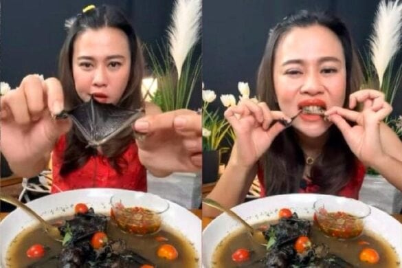 Les internautes scandalisés par une YouTubeuse thaïlandaise mangeuse de chauve-souris