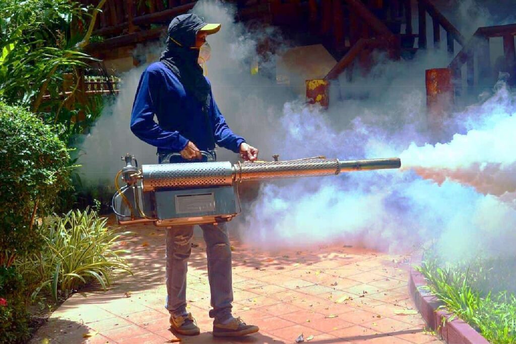 Les 5 meilleures stratégies pour prévenir la dengue