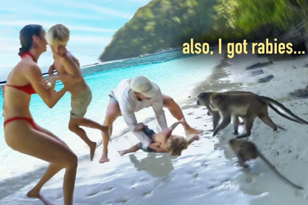 A family of tourists savagely attacked by monkeys in Thailand