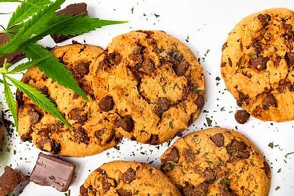Des enfants hospitalisés après avoir mangé des biscuits au cannabis en Thaïlande