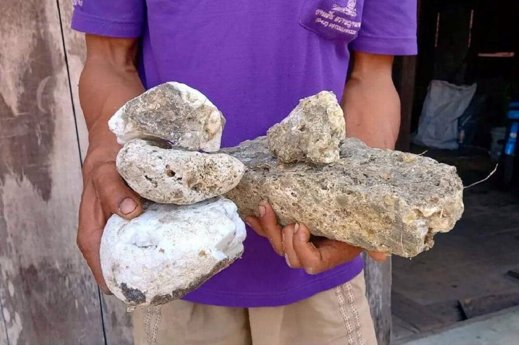 Un pêcheur thaïlandais trouve du vomi de baleine d'une valeur de 79 557 euros
