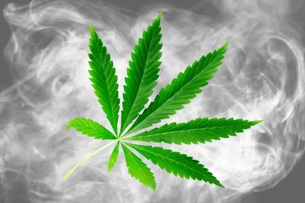 Le cannabis ne sera pas reclassé comme stupéfiant en Thaïlande
