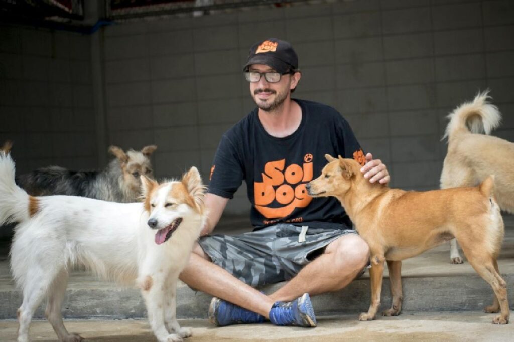 Choc en Thaïlande : un Husky enterré vivant par un Français à Phuket 7 Choc en Thaïlande : un Husky enterré vivant par un Français à Phuket