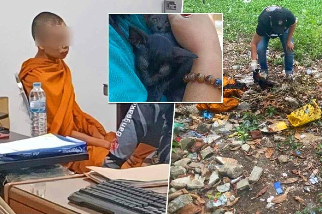 Un moine bouddhiste thaïlandais fou aurait torturé et tué 80 chats