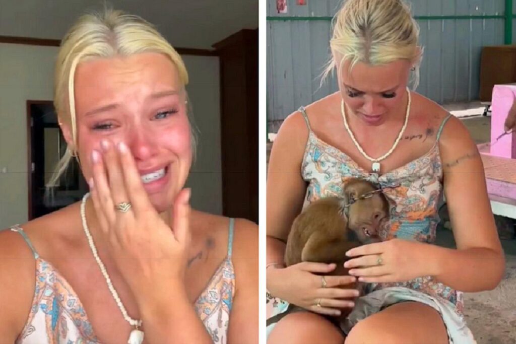 Une star de TikTok dénonce la cruauté des spectacles de singes en Thaïlande