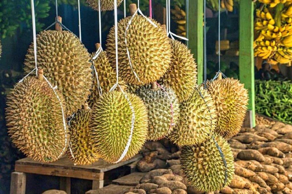La place de la Thaïlande comme 1er exportateur de durians menacée par le Vietnam
