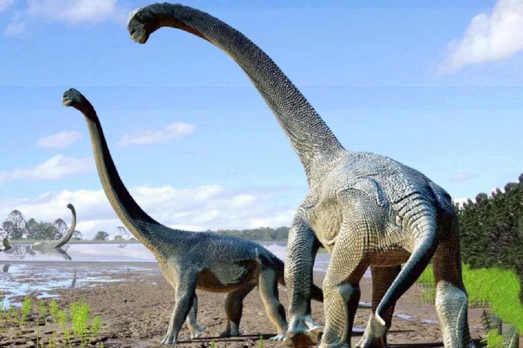 La Thaïlande a peut-être découvert une nouvelle espèce de dinosaure