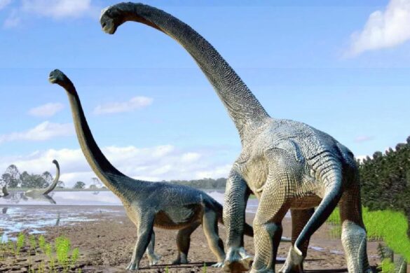 La Thaïlande a peut-être découvert une nouvelle espèce de dinosaure