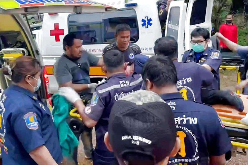 Un homme perd un œil après une attaque d'ours en Thaïlande