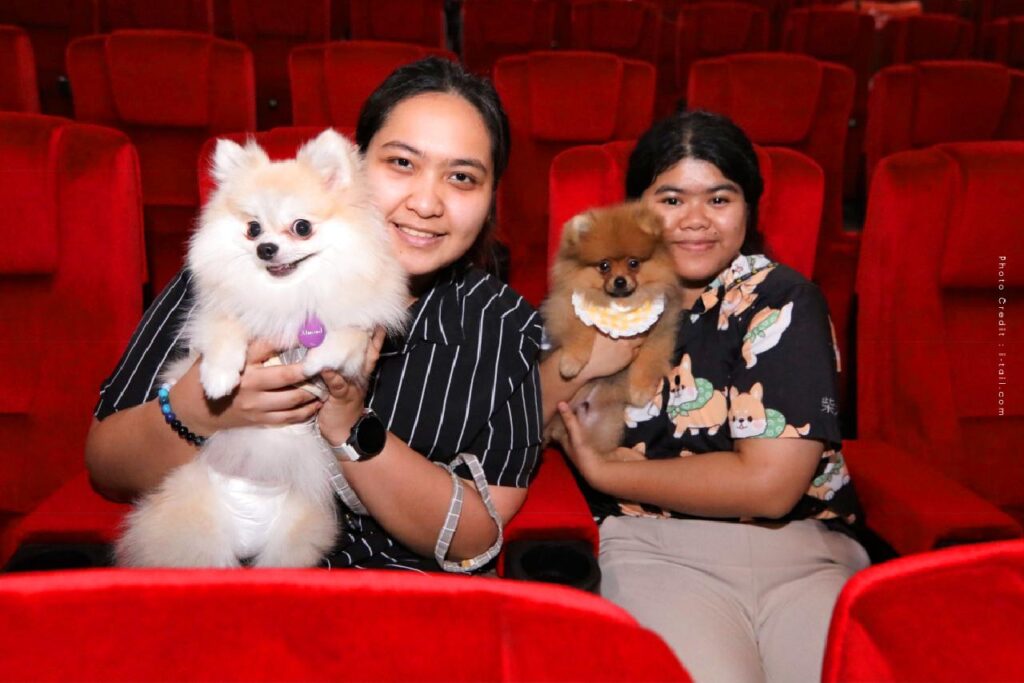 La Thaïlande ouvre son 1er cinéma accueillant les animaux de compagnie