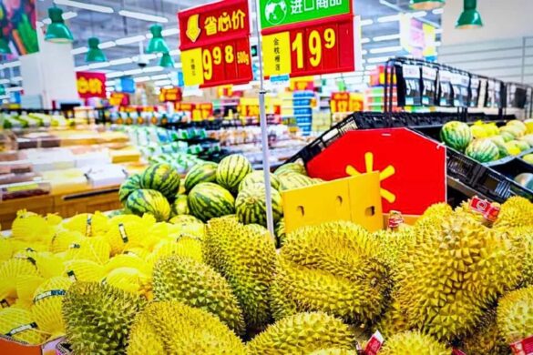 La Thaïlande peut augmenter ses exportations de fruits en Chine car la demande est en hausse