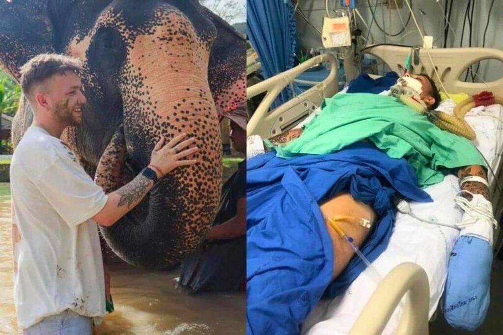 Un touriste tombé d'un balcon en Thaïlande lutte pour sa vie et sa famille lutte pour payer l'hôpital
