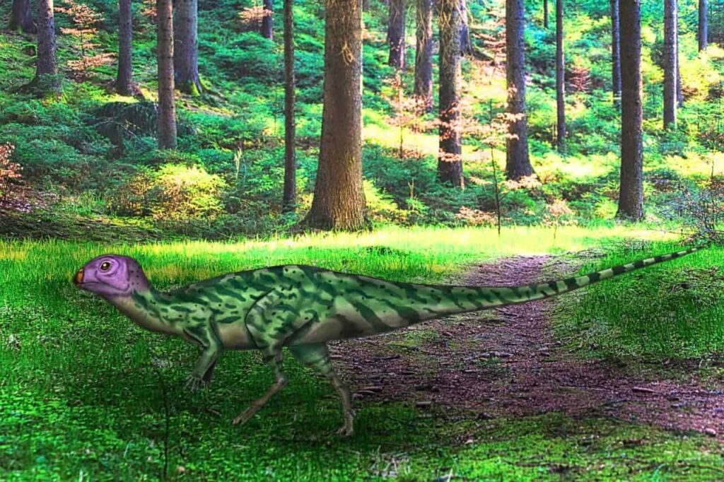 Un nouveau dinosaure néornithischien découvert en Thaïlande