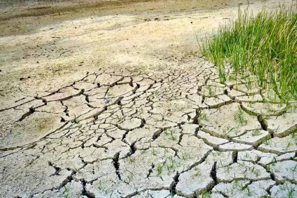 El Niño pourrait faire perdre jusqu'à 2 000 milliards de bahts à la Thaïlande