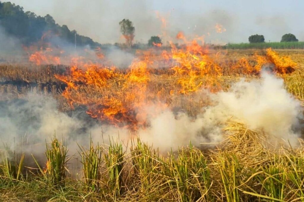 La pollution atmosphérique étouffe l'économie thaïlandaise