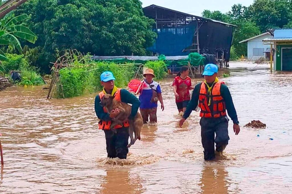 Inondations à répétition en Thaïlande : le secteur privé veut un plan durable 9 Inondations à répétition en Thaïlande : le secteur privé veut un plan durable