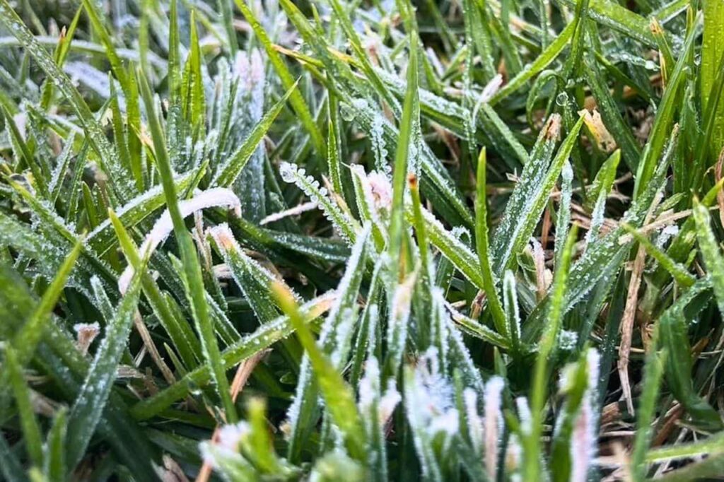 Thaïlande : la saison froide arrivera plus tard et sera plus douce cette année