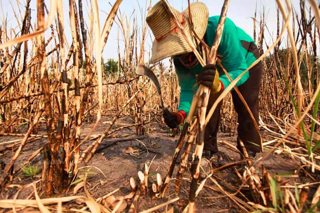 La Thaïlande adopte 7 nouvelles lois pour lutter contre la pollution de l'air 5 La Thaïlande adopte 7 nouvelles lois pour lutter contre la pollution de l'air