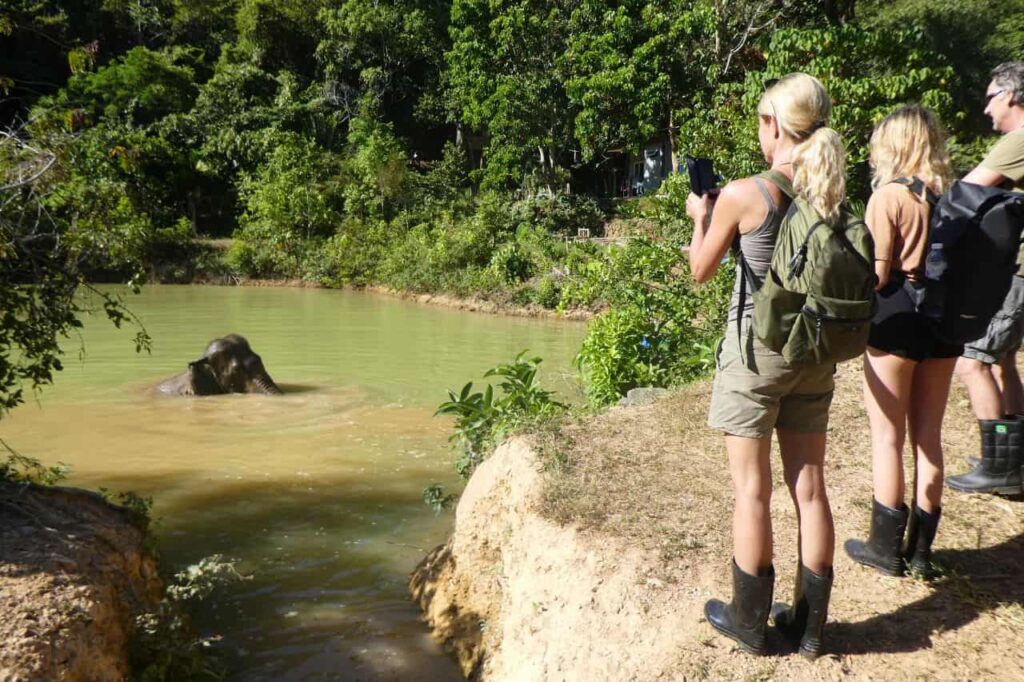7 idées de voyages durables et incroyable en Thaïlande
