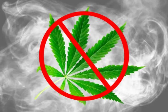 La Thaïlande va reclasser le cannabis comme stupéfiant