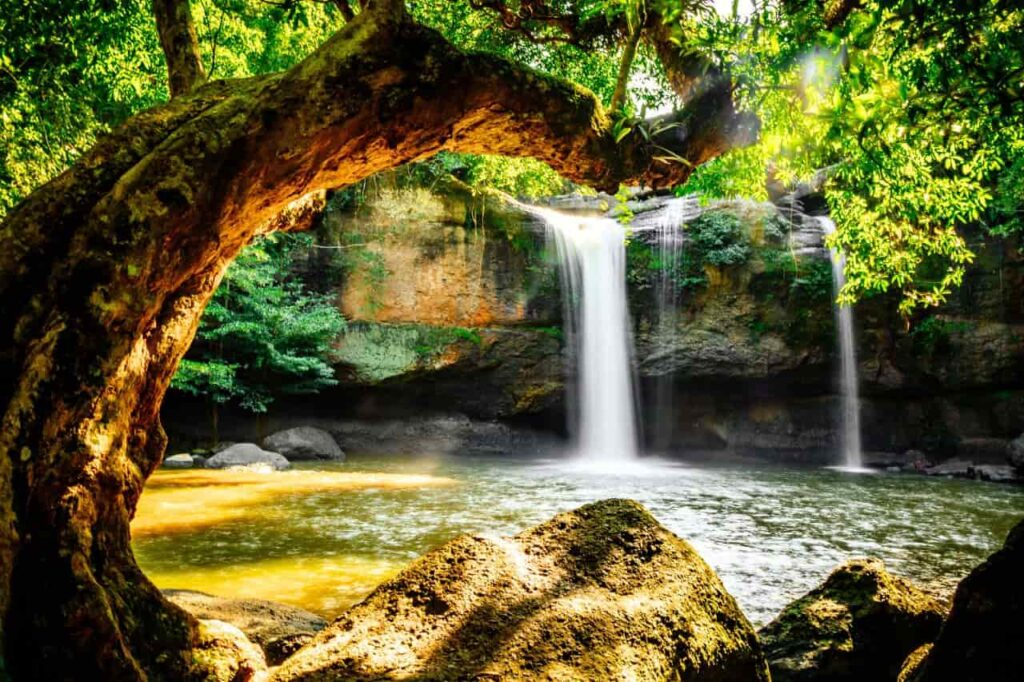 Dates de fermeture des parcs nationaux de Thaïlande pour 2024 et 2025