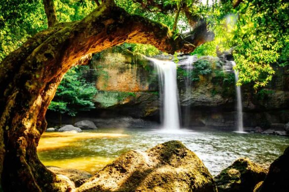 Dates de fermeture des parcs nationaux de Thaïlande en 2024